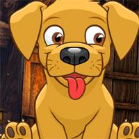 play Avm-Cute-Pet-Dog-Escape