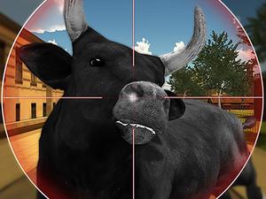 play Bull Shooting