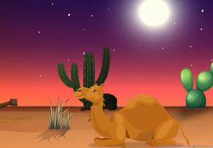 play Desert Wooden House Escape
