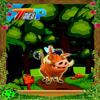play Top10 Rescue The Wild Boar