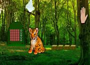 play Help The Lonely Tiger Cub