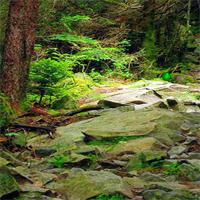 play Escape-From-Great-Smoky-Mountain-National-Park