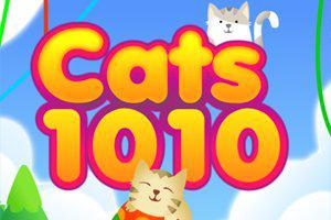 play Cats 1010
