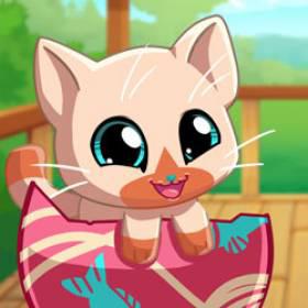 My Pocket Pets: Kitty Cat - Free Game At Playpink.Com