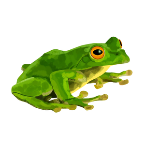 play Brave Frog
