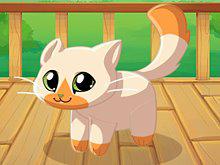 My Pocket Pets: Kitty Cat