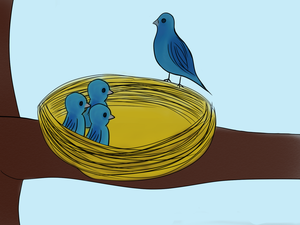 play The Little Bird