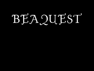 play Bea Quest