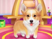 Cute Corgis Caring And Dressup