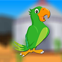 play Male Parrot Escape