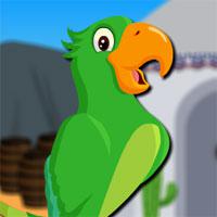 play Male Parrot Escape