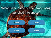 play Animal Trivia