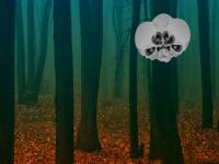 play Mystical Halloween Forest Escape