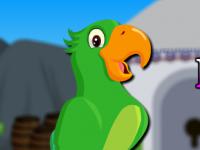 play Male Parrot Escape
