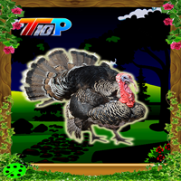 play Top10 Rescue The Turkey