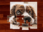 play Funny Dogs Puzzle