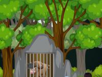 play Rescue The Buffalo
