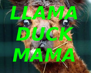 play Llama Duck Mama