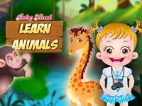 play Baby Hazel Learn Animals