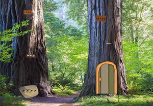 play Old Beech Tree Escape