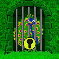 play Games2Jolly Forest Park Peacock Escape