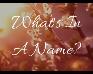 play What'S In A Name?