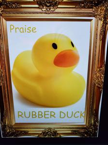 play Duck And Turtle