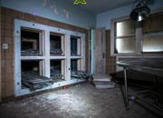 Derelict Asylum