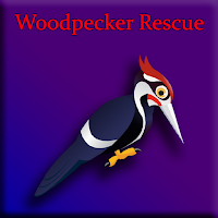 G2J Woodpecker Rescue