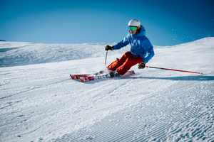 play Beginnerskiergame