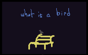 play What Is A Bird