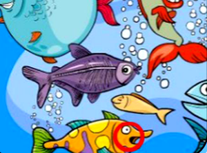 play Fish Differences