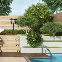 play Firstescapegames Delight 2