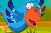 play Fun Birds Hidden Stars