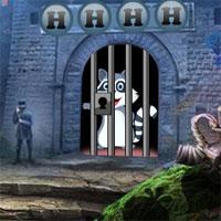 play Delighted Raccoon Escape