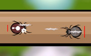 play Spider Fight
