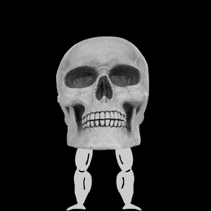 play Bonemageddon: Skell On Earth (Early Test)