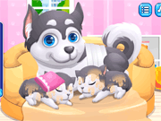 play Cute Puppy Pregnant