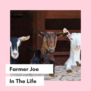 play Farmer Joe
