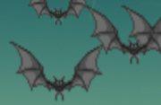 play Halloween Bats