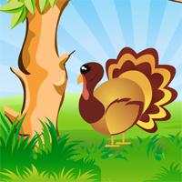 play Thanksgiving Turkey Hidden Target