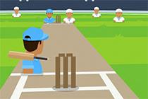 play Cricket Frvr