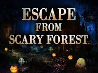 Top10 Escape From Scary Forest