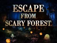 play Top10 Escape From Scary Forest