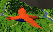 Bird Simulator