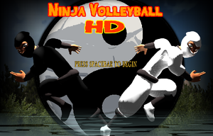 play Ninja Volleyball Hd