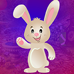 play Titter Bunny Escape