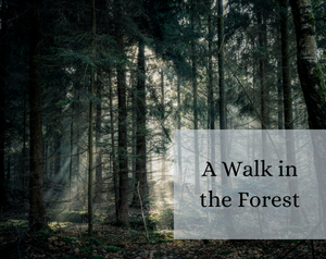 play A Walk In The Forest
