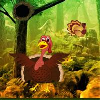 Giant Turkey Forest Escape