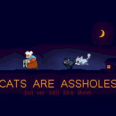 play Cats Are Assholes